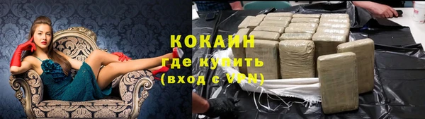 шишки Богородск