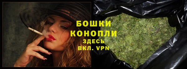 шишки Богородск