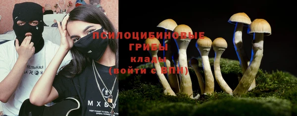 шишки Богородск