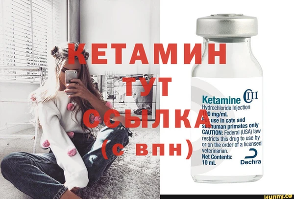 шишки Богородск