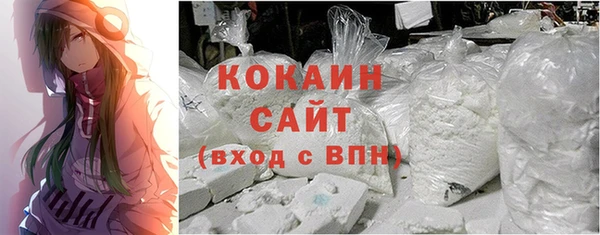 шишки Богородск