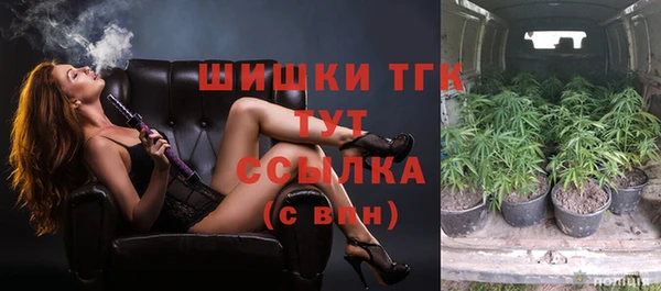 шишки Богородск