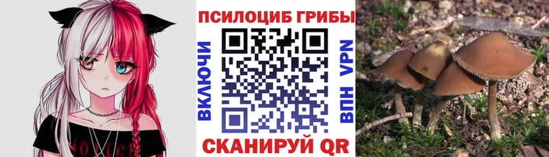 Галлюциногенные грибы Magic Shrooms  купить наркотики цена  Астрахань 